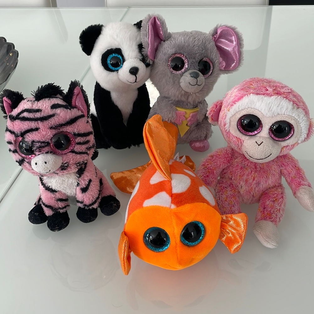 TY Beanie Babies Collections (5)